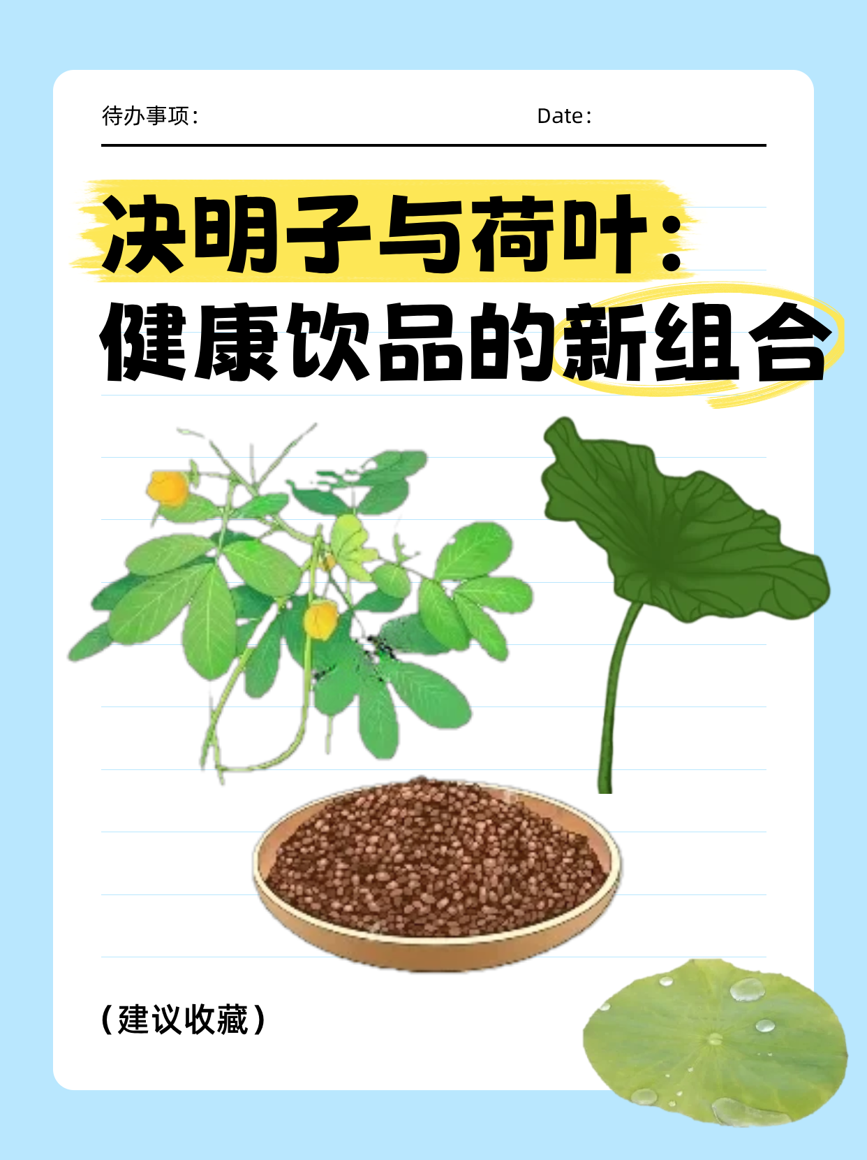 荷叶的功效与作用