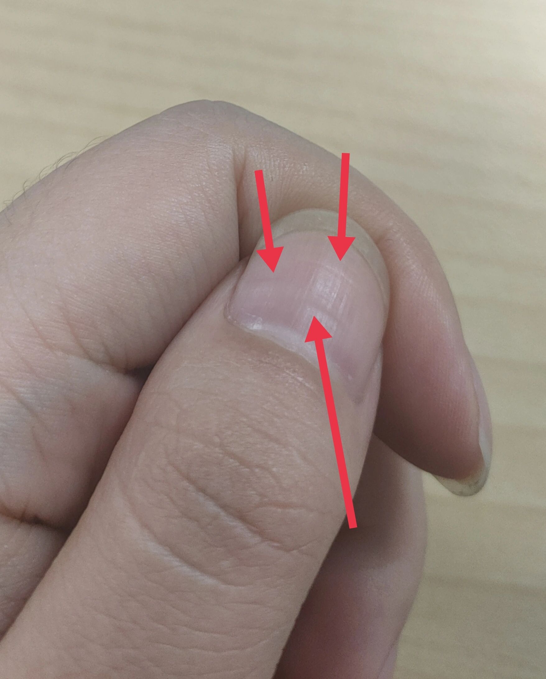 2026年1月10日 第5页