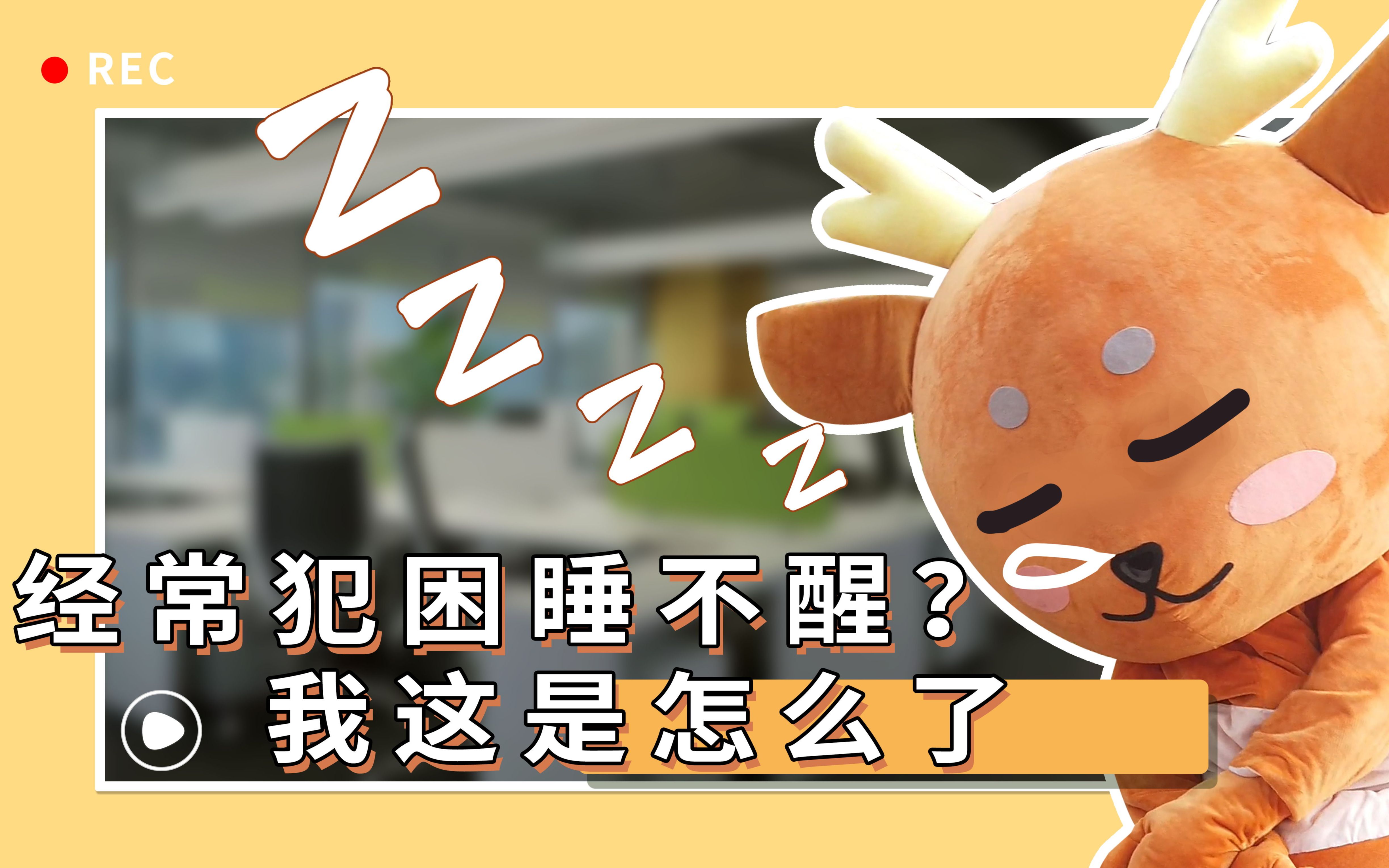 老是犯困,感觉睡不够