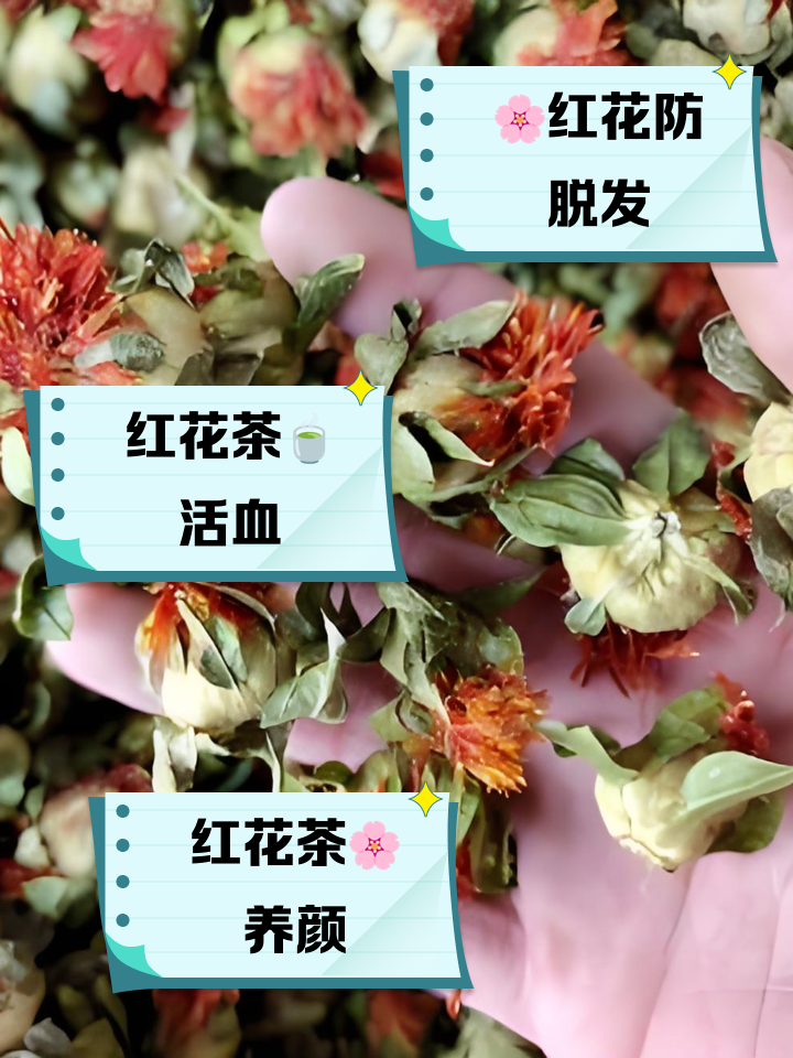 哺乳期可以喝藏红花茶吗