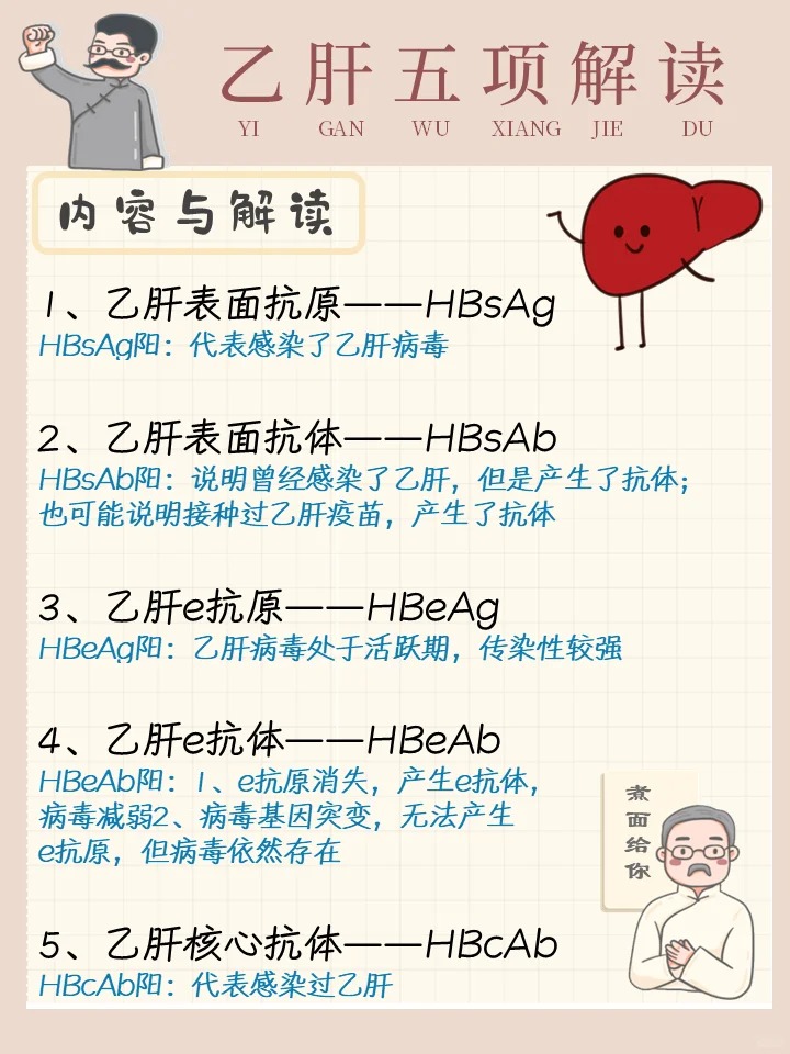 乙肝e抗体阳性什么意思