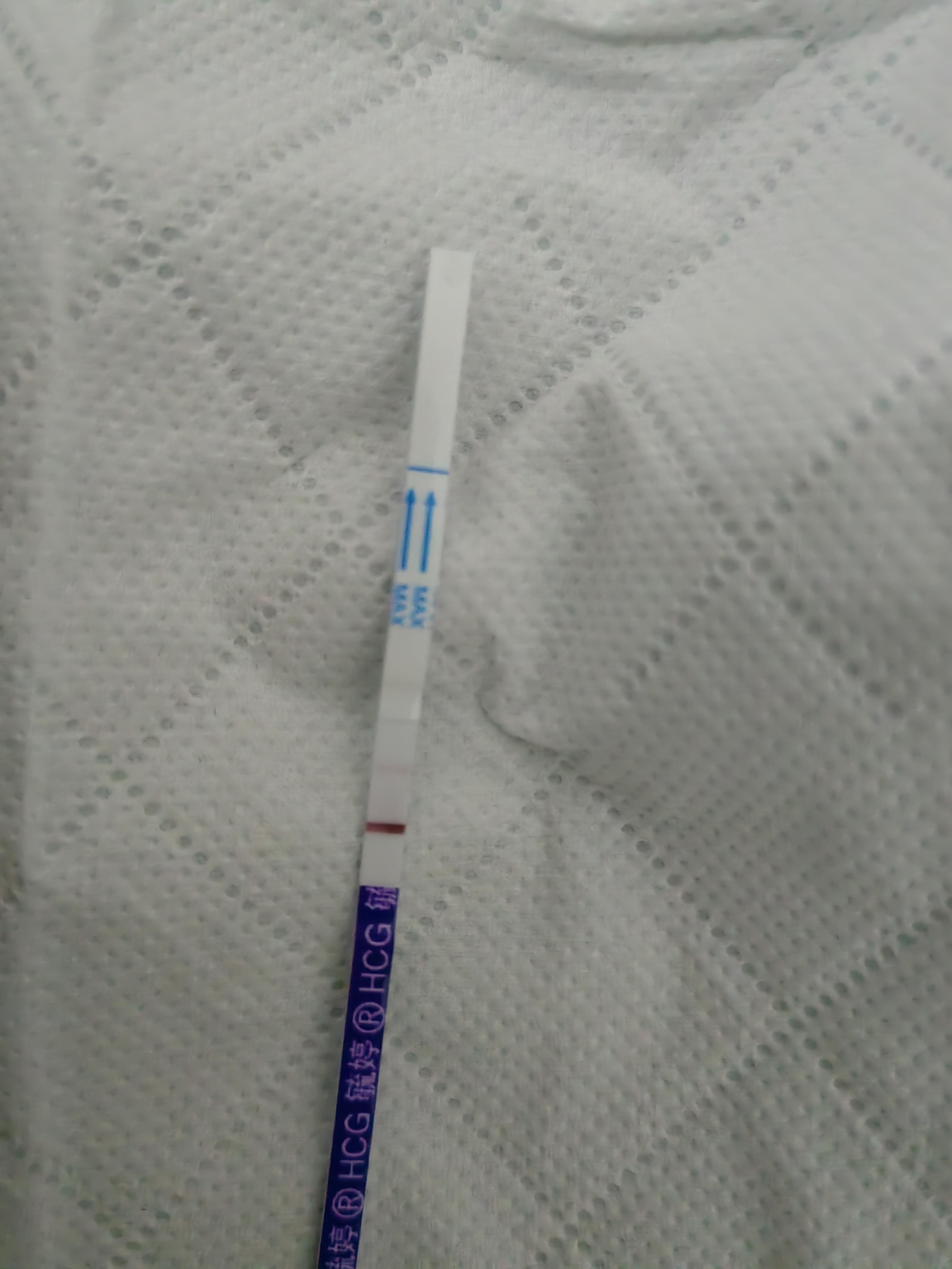 2026年1月11日 第32页