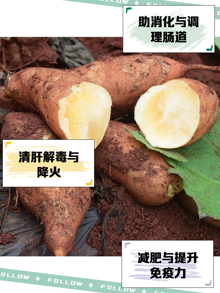 雪莲花的功效与作用