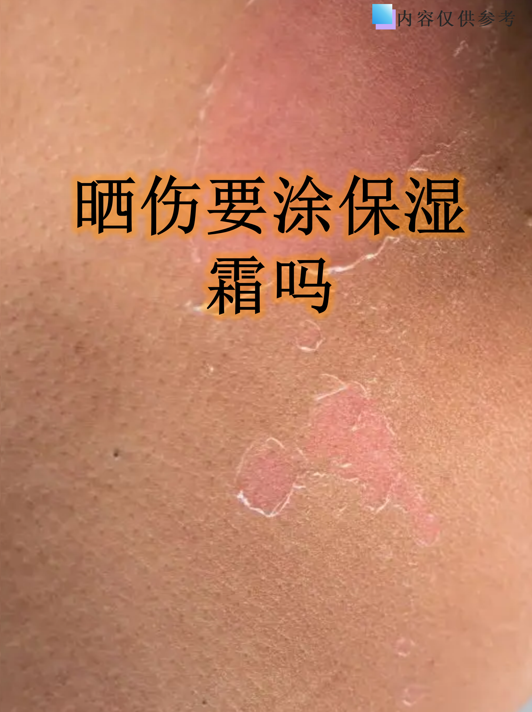 2026年1月11日 第19页