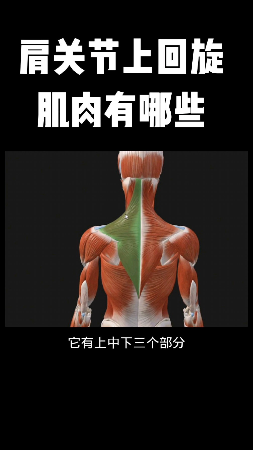 2026年1月11日 第14页