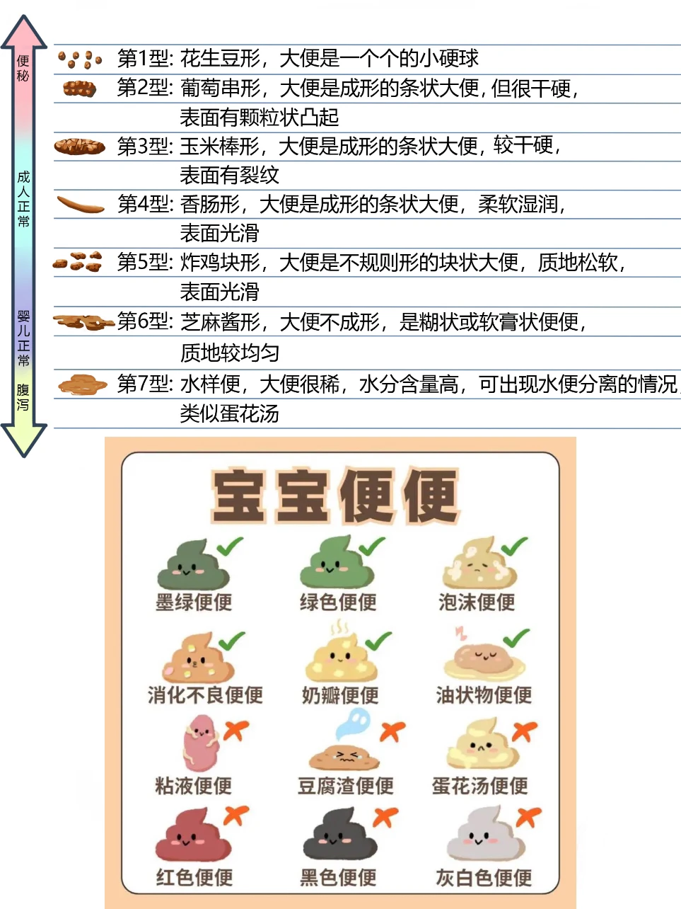 一天大便几次正常