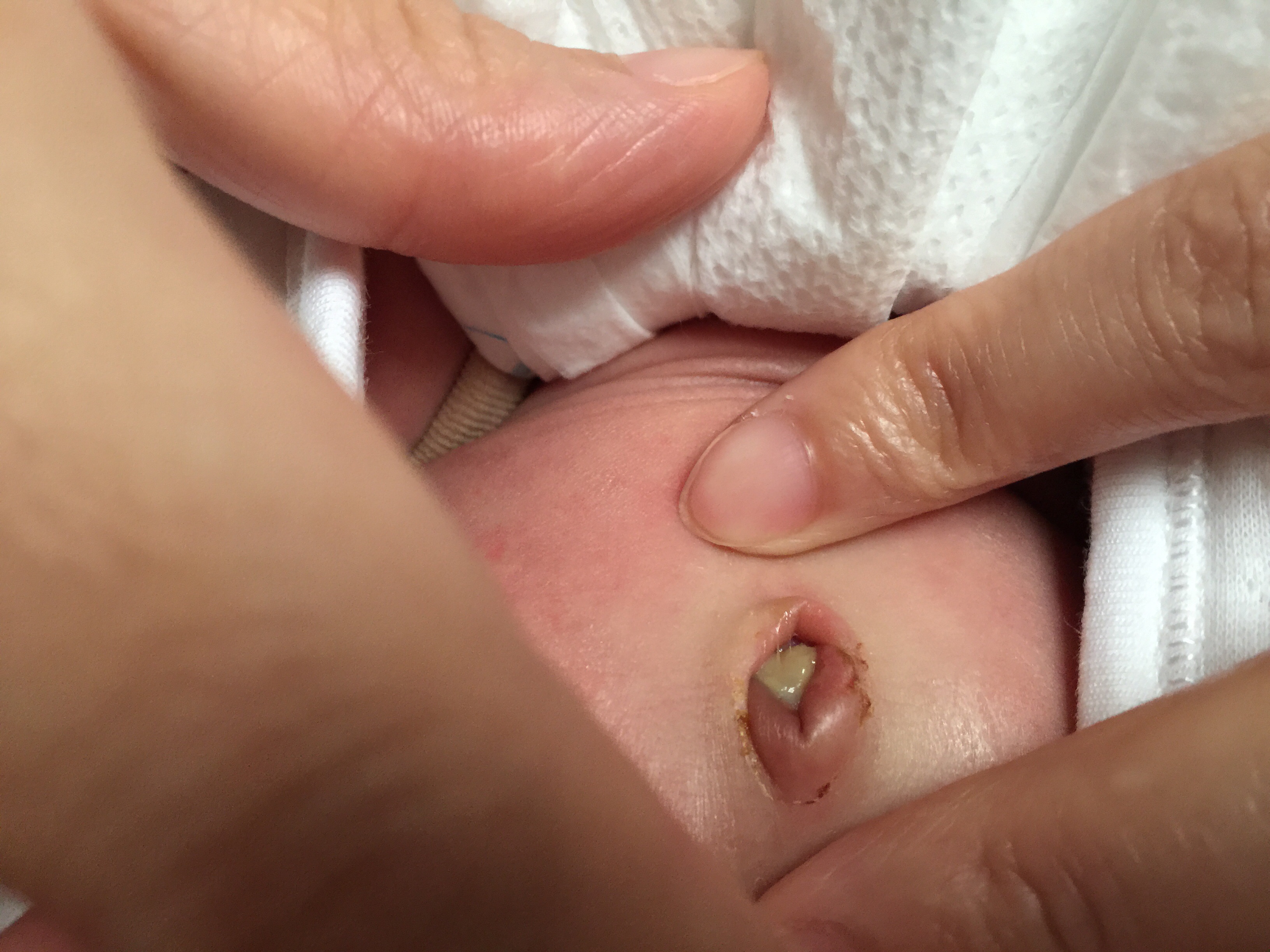 2026年1月11日 第6页