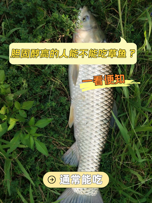 吃中药能吃鱼吗