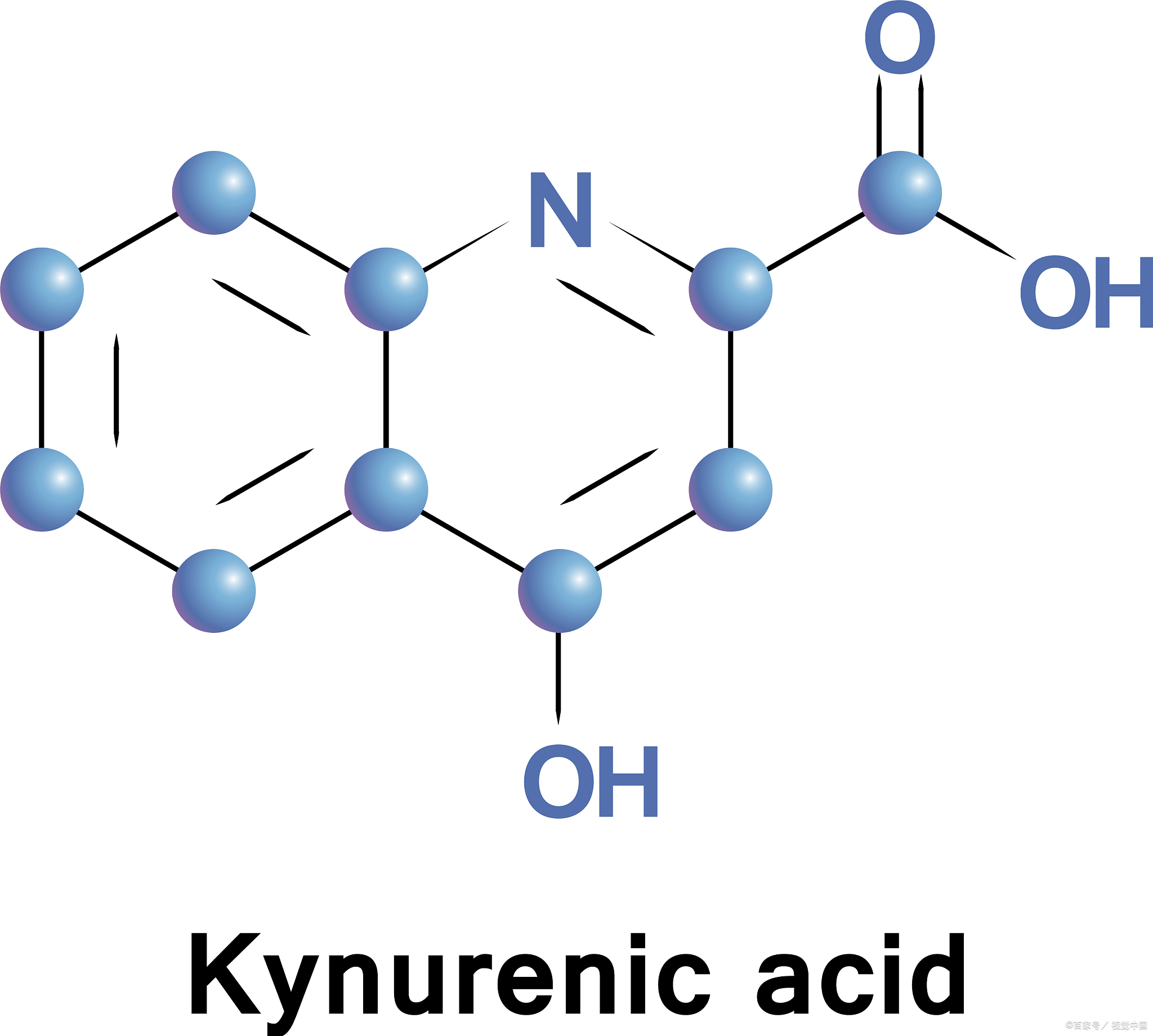 游离脂肪酸是什么