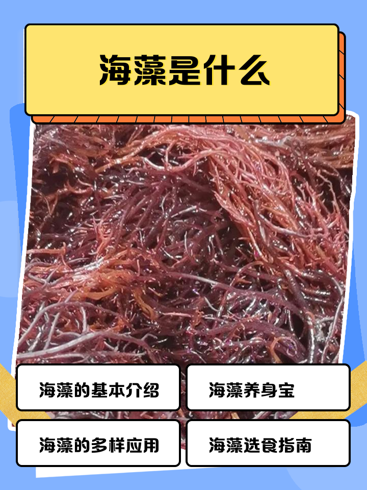 海藻的功效与作用