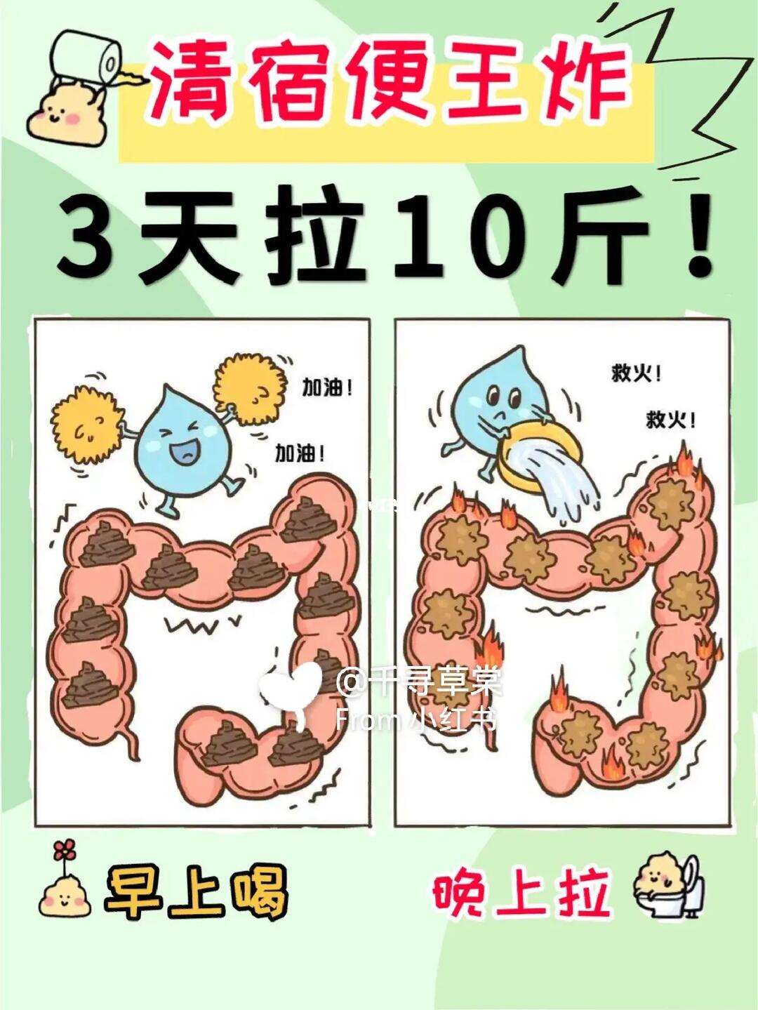 清肠道排宿便最有效的方法?