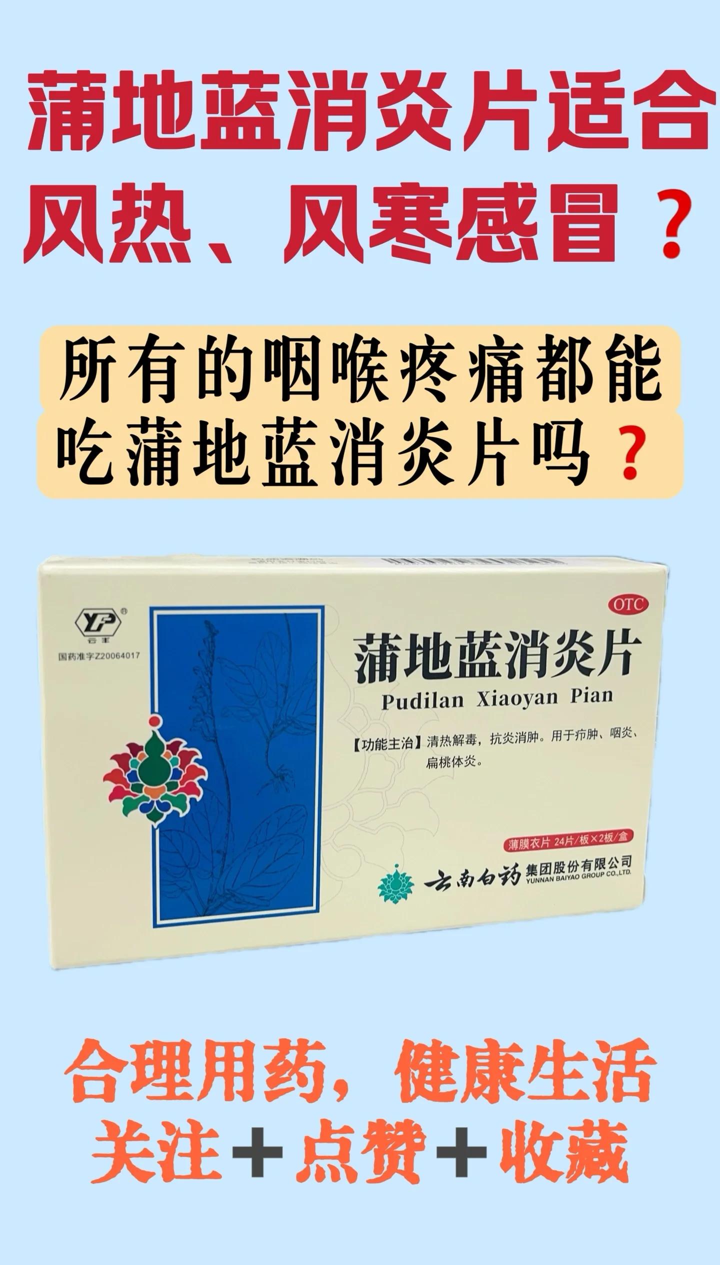 蒲地蓝消炎口服液的功效与作用