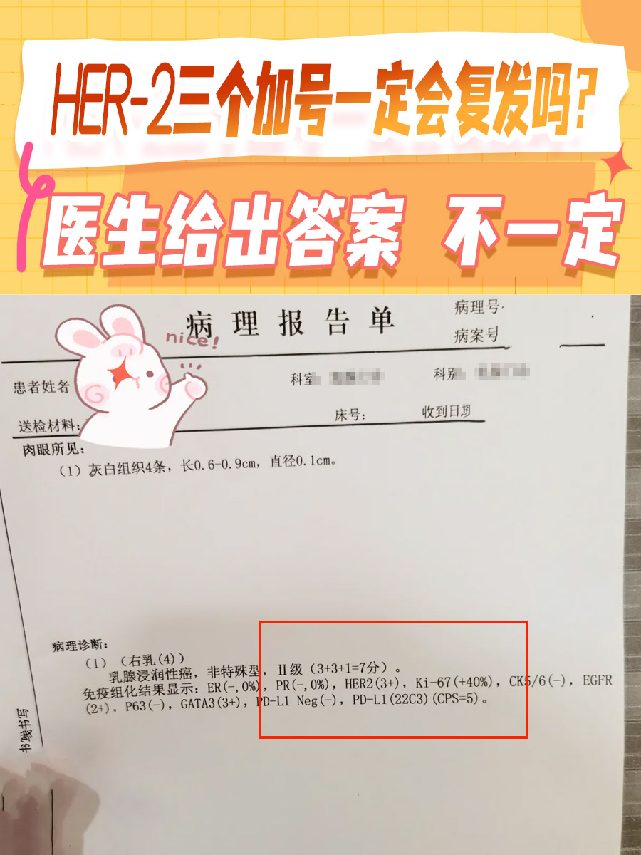 上皮细胞几个加号正常