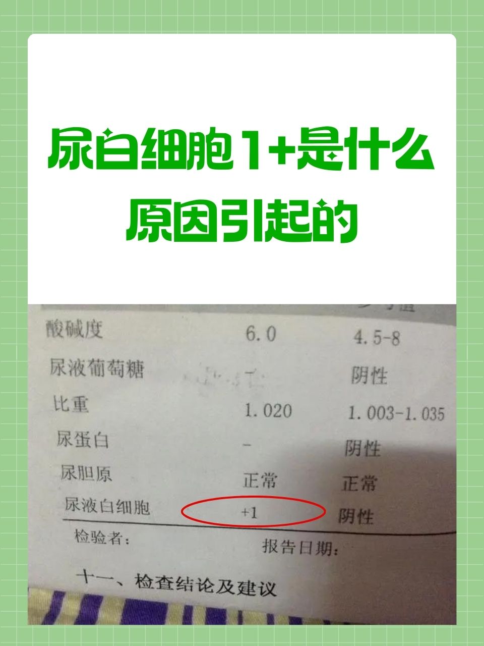 白细胞标准值是多少