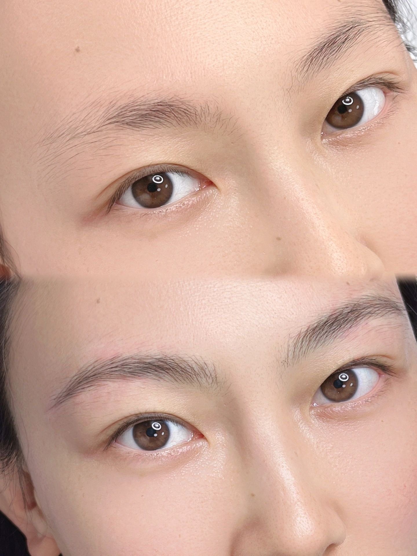 眉毛全部刮了多久能长出来