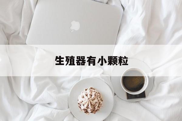 生殖器有小颗粒