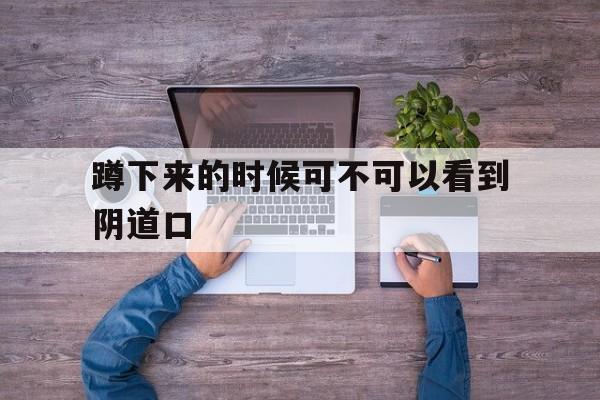 蹲下来的时候可不可以看到阴道口