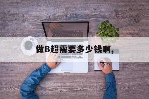 做B超需要多少钱啊,