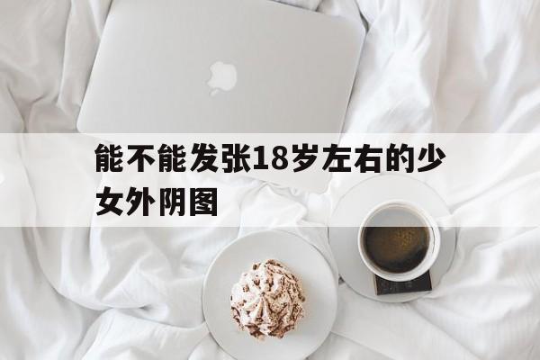 能不能发张18岁左右的少女外阴图